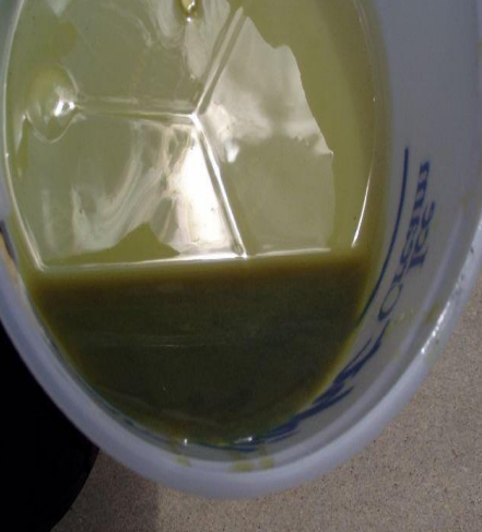 sw305-01 sw305-01